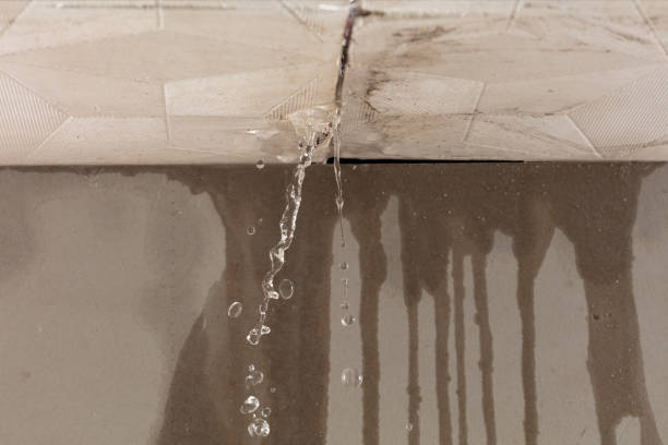 Professional Structural Drying technician working in Kingwood, TX